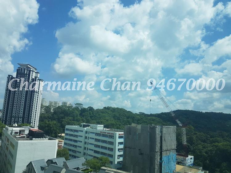 Hillview Regency (D23), Condominium #148569282